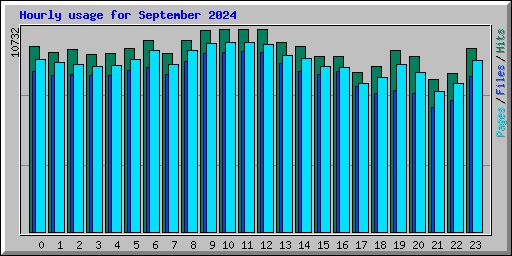 Hourly usage for September 2024